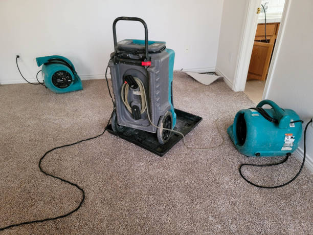 Best Water damage mitigation services  in Lan, MI