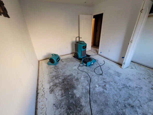 Best Water damage restoration near me  in Lan, MI